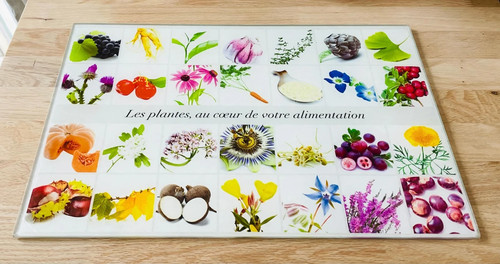 Planche découper verre - planche, à