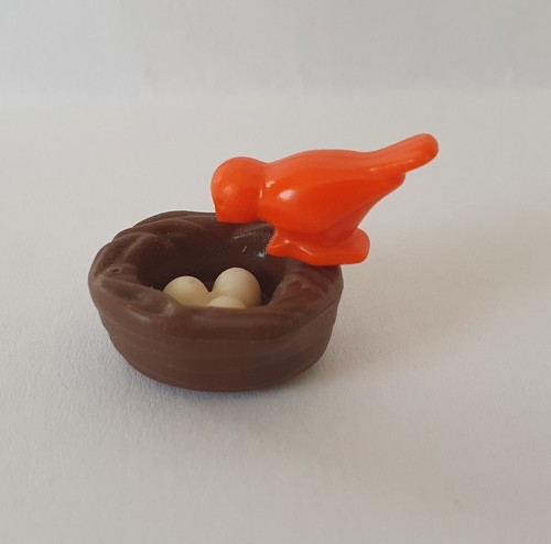 Oiseau orange sur nid - oiseau,