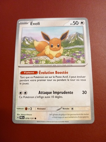 Evoli 074 131 neuf - evoli,