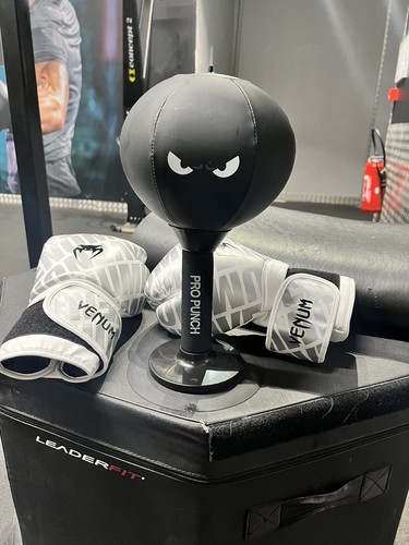 sac de frappe boxe Mini Pro