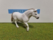 13872 - Ponette de race