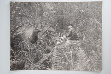 PHOTO Argentique	France	chasse