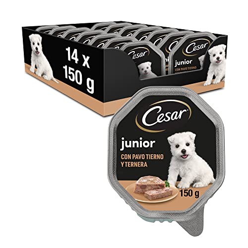 Cesar junior nourriture pour - nourriture,