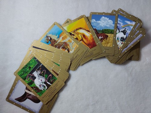 Cartes cheval chevaux bella - /,