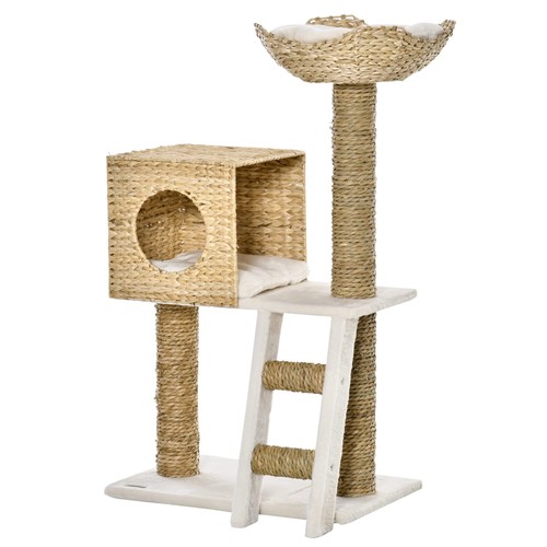 Arbre chat grimper - chat, à