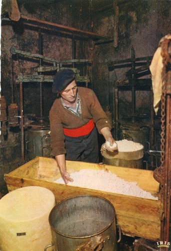 Cantal maie fromage - maie,