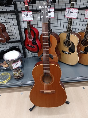 Guitare acoustique seagull - guitare, s6