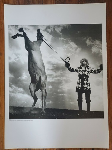 Helmut newton sumo photo - sumo, print