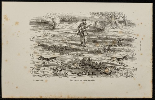 1867 quête du chien - la,