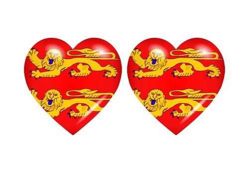 Autocollant sticker drapeau - 2x,