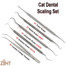 Kit de détartrage dentaire