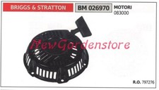 Moteur Tondeuse Briggs &