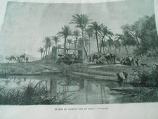 Gravure 1869 - Un bois de