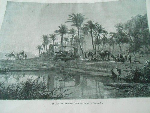 Gravure 1869 bois de - -, un