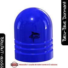 Poudre Bleu Dormant Candy 1kg Thermolaquage Finition Brillant Powder Coating