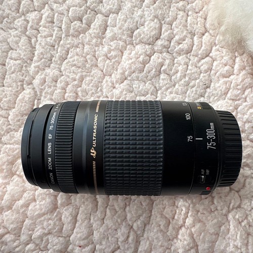 Objectif zoom canon 300 mm - zoom,