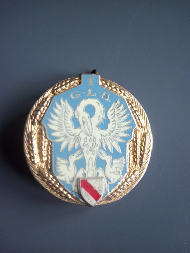 Original militaire insigne - original,