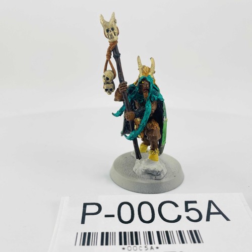 Shaman plastique warhammer - x1,