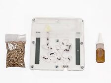 Fourmiliere Éducatif BIG