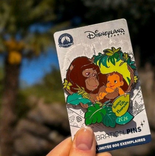 Pin limited edition - pin,