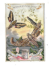 CHROMO  ANCIEN publicitaire