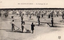 13  CPA ANIMEE DEBUT 1900  SALINS DU MIDI  LE BATTAGE DU SEL