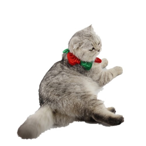 Déguisement chien costume - de,