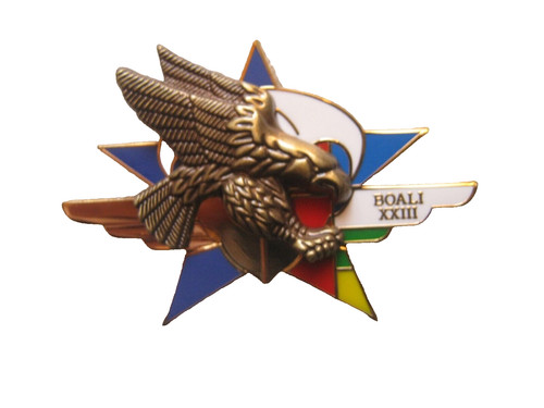Chasseurs parachutistes - chasseurs, 1°