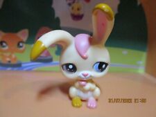 Petshop Lapin  de Garenne