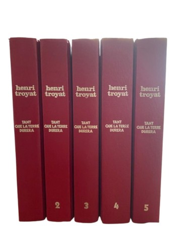 Roman saga familiale - roman, 5