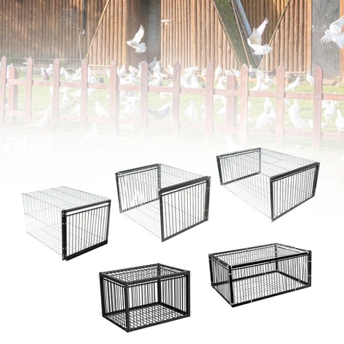 Cage pigeons fer pour - à,
