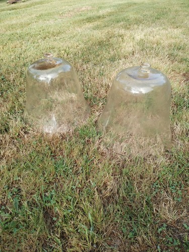 Cloches jardin maraichage - de,