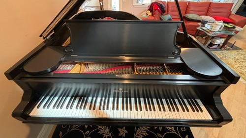 Steinway 1906 model - 1906,