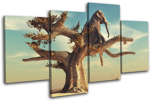 Elephant tree desert - tree,