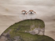 PEINTURE JAPONAISE ROULEAU SUSPENDU DU MOINEAU DU JAPON PRUNE PHOTO vintage e355