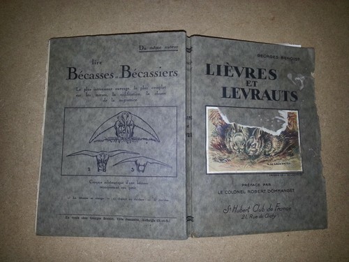 Lievres levraults anatomie - lievres,