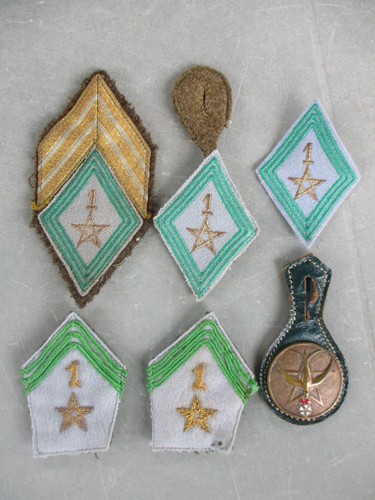 Rare ensemble insignes