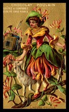 Chromos POULAIN - les fleurs -