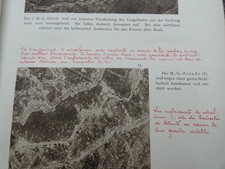 WW1 Rare Document Allemand