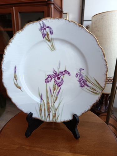 Assiettes plates en - 12,