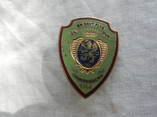 Insigne militaire - insigne,