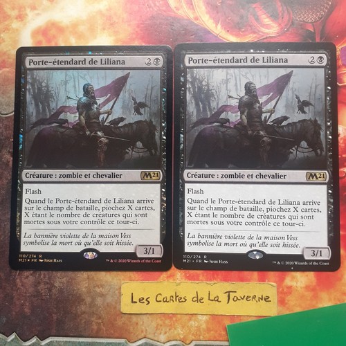Lot cartes magic - 2, porte
