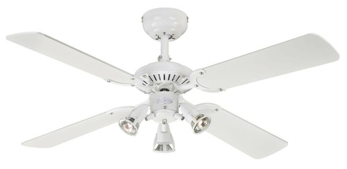 Ventilateur plafond avec - de,