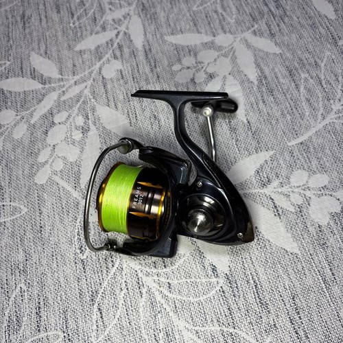 Moulinet pêche daiwa - pêche,