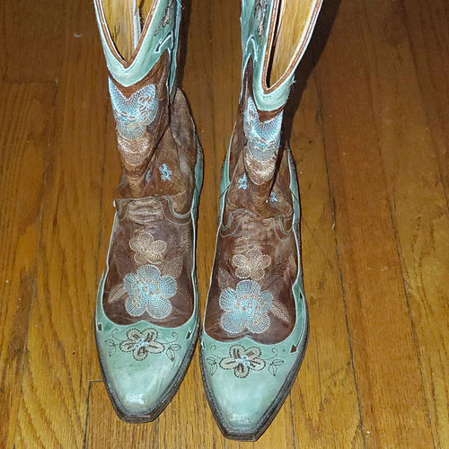 Old gringo embroidered western - gringo,