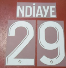 Flocage officiel Ndiaye N°29