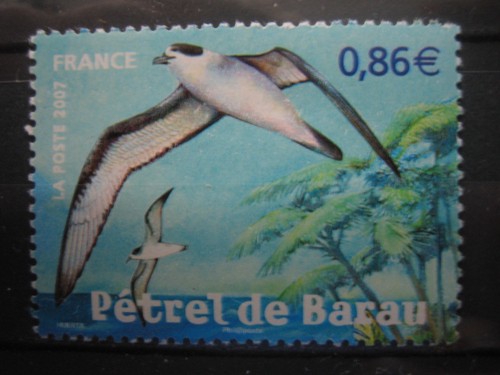 France année 2007 - -,