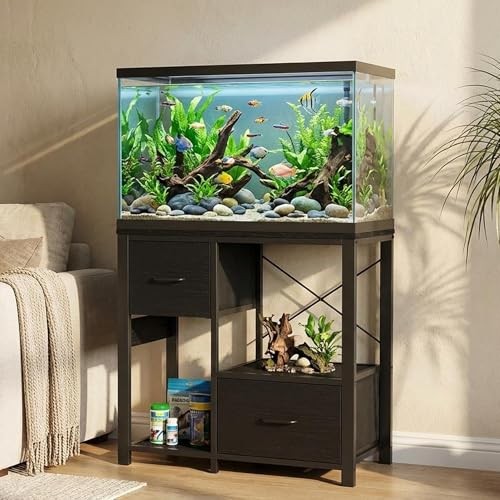 Gallon fish tank - fish, stand
