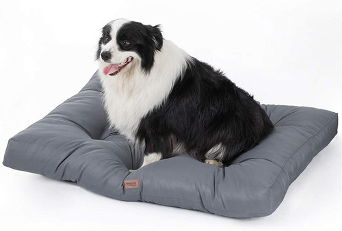 Coussin chien tapis - chien,