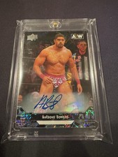 2023 Upper Deck AEW ANTHONY